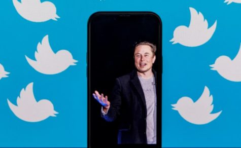 Back and Forth with Elon Musks Twitter Verification Plan