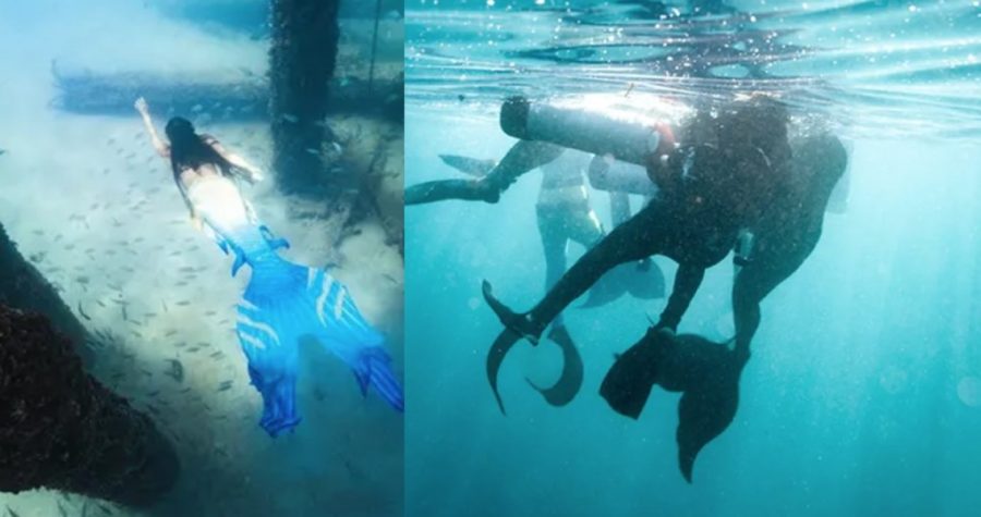 Diver Saved by Group of Three Mermaids