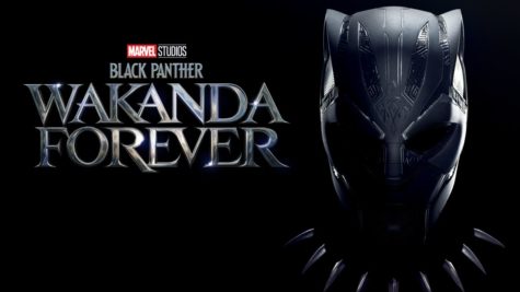 Black Panther: Wakanda Forever--a Tribute to Chadwick Boseman