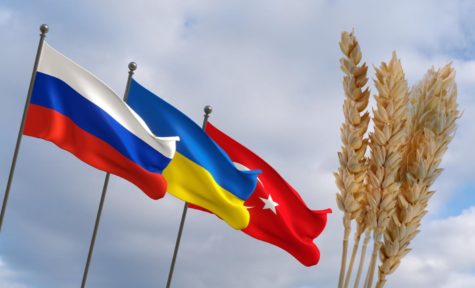 Ukraines Grain Deal