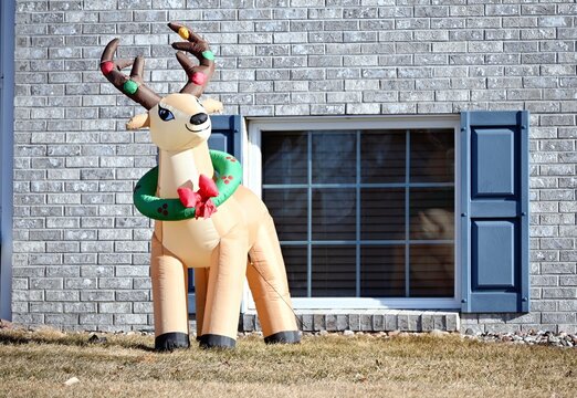Nevada Bear Destroys Inflatable Rudolph Decoration