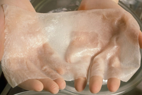 Method of Growing Hand-Shaped Skin Developed by Bioengineers