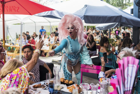 Ron DeSantis Investigation of Florida Drag Shows