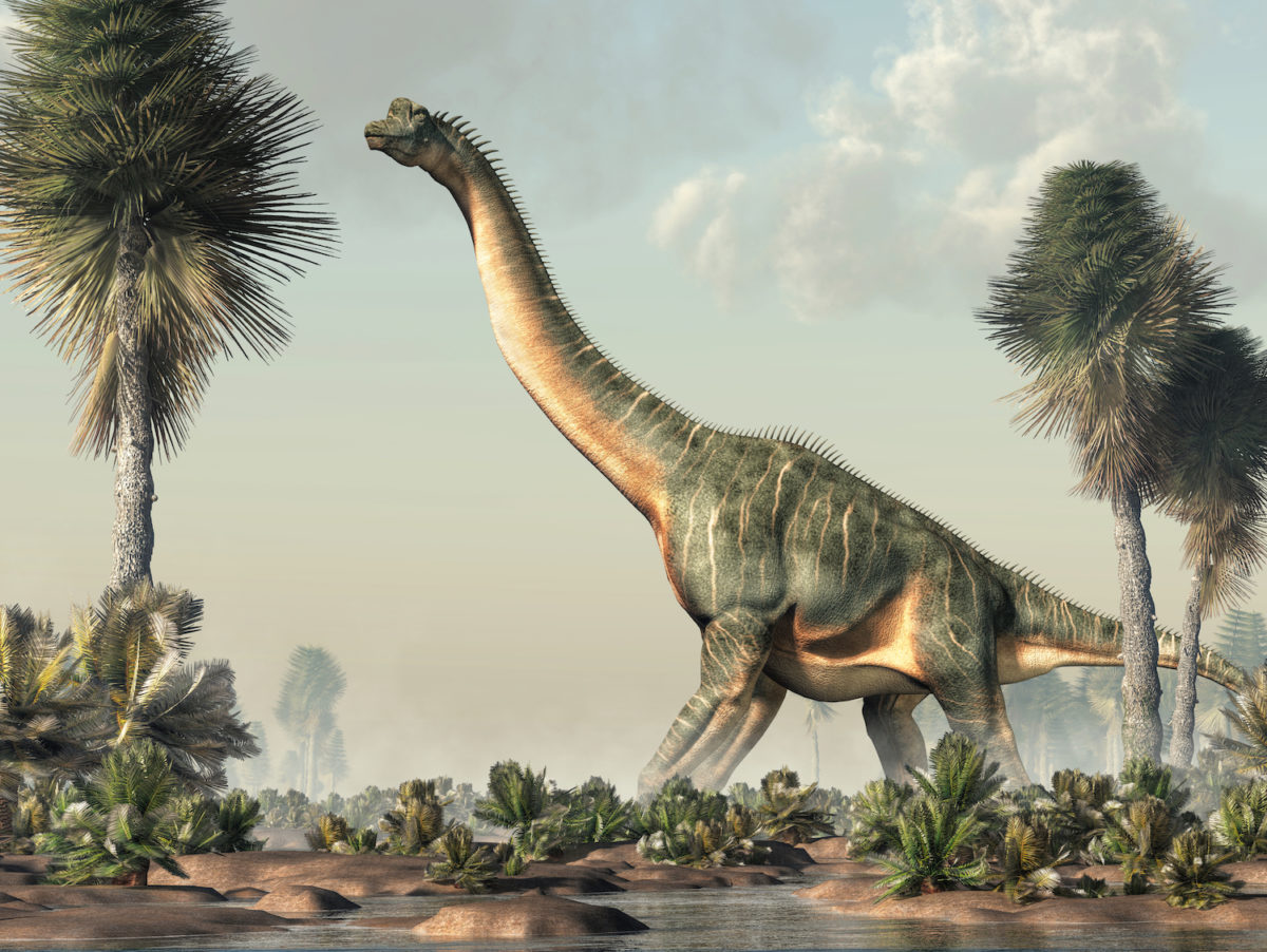 82-Foot Long Dinosaur Found in Portugal Backyard
