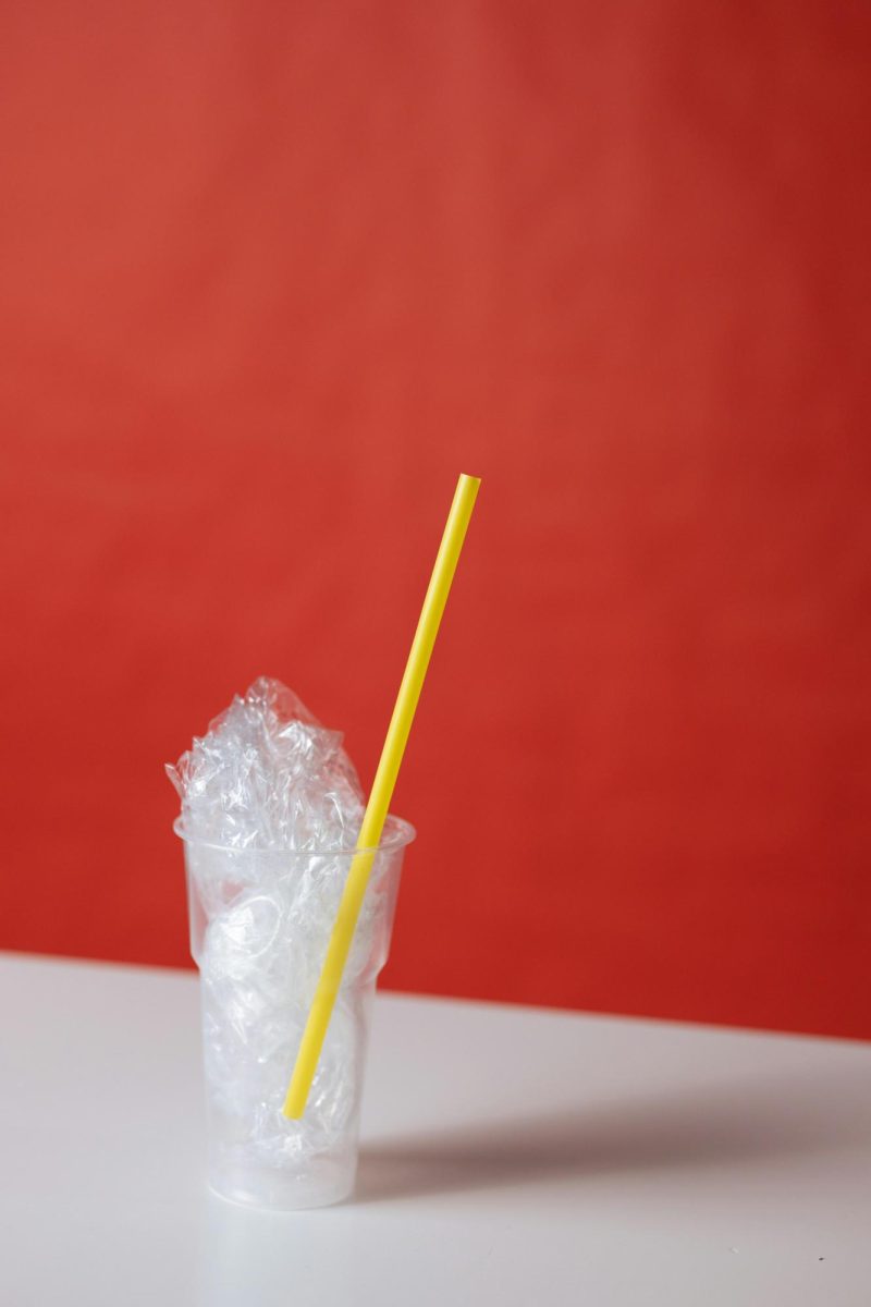 All Climate Change Miraculously Reversed By Single Recycled Straw