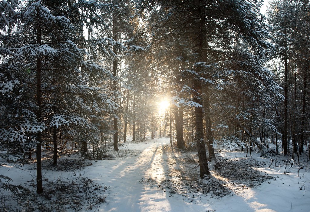 January Editor's Note