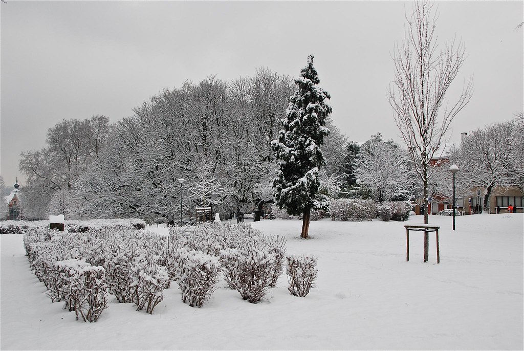 December Editor's Note