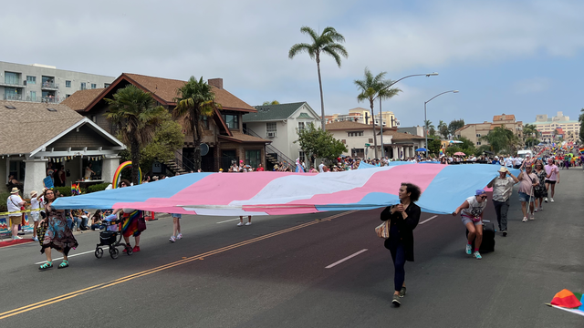 Transgender health and wellness group at San Fransisco pride parade marching with a transgender pride flag.