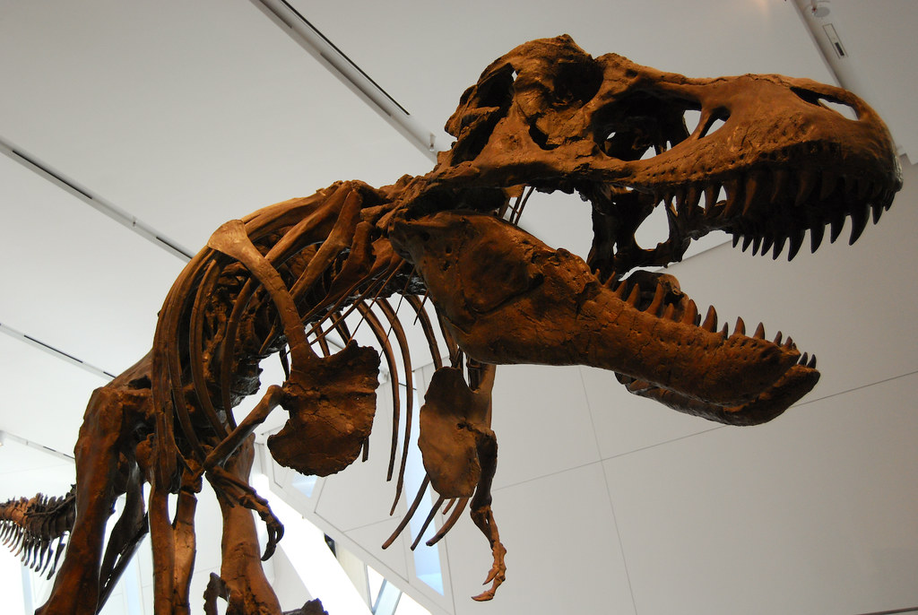 Dinosaurs are the Future