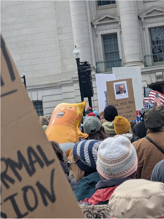 a No King's Day Protest at the Wisconsin state capital